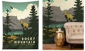 Deny Designs Anderson Design Group Rocky Mountain National Park Tapestry